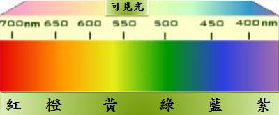 光線 (400－700 nm)