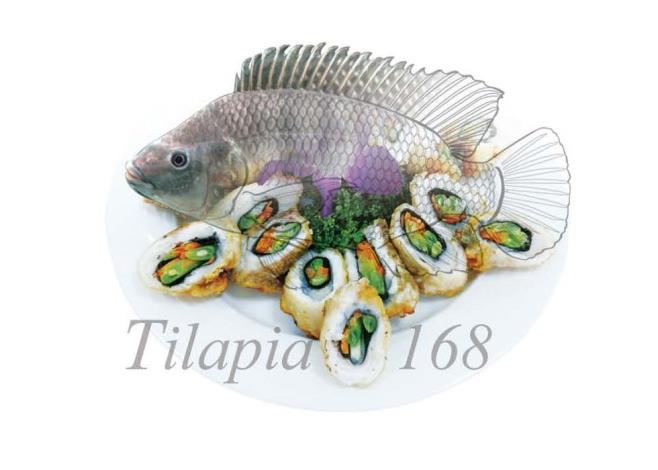 Tilapia 168