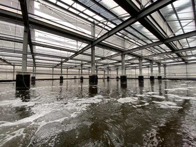 向陽公司的光電SPF白蝦養殖殖設施