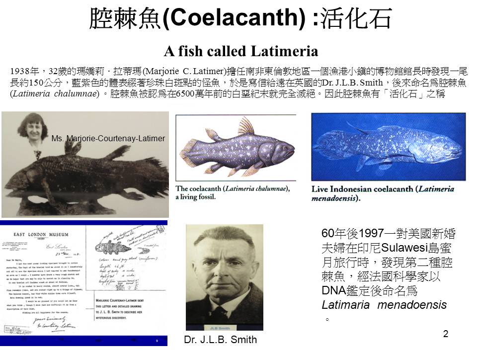 腔棘魚（Coelacanth）活化石