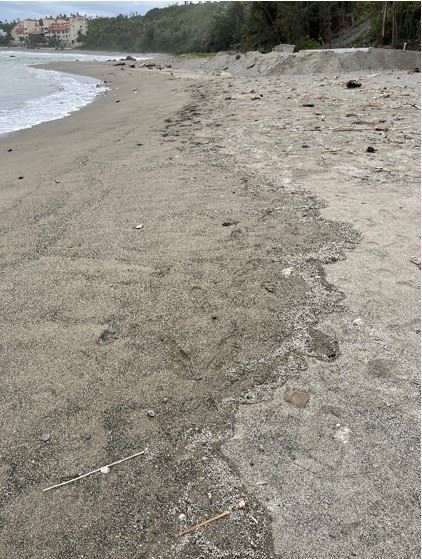 圖2、臺東富山護魚區沙灘高潮線上有少量浮石