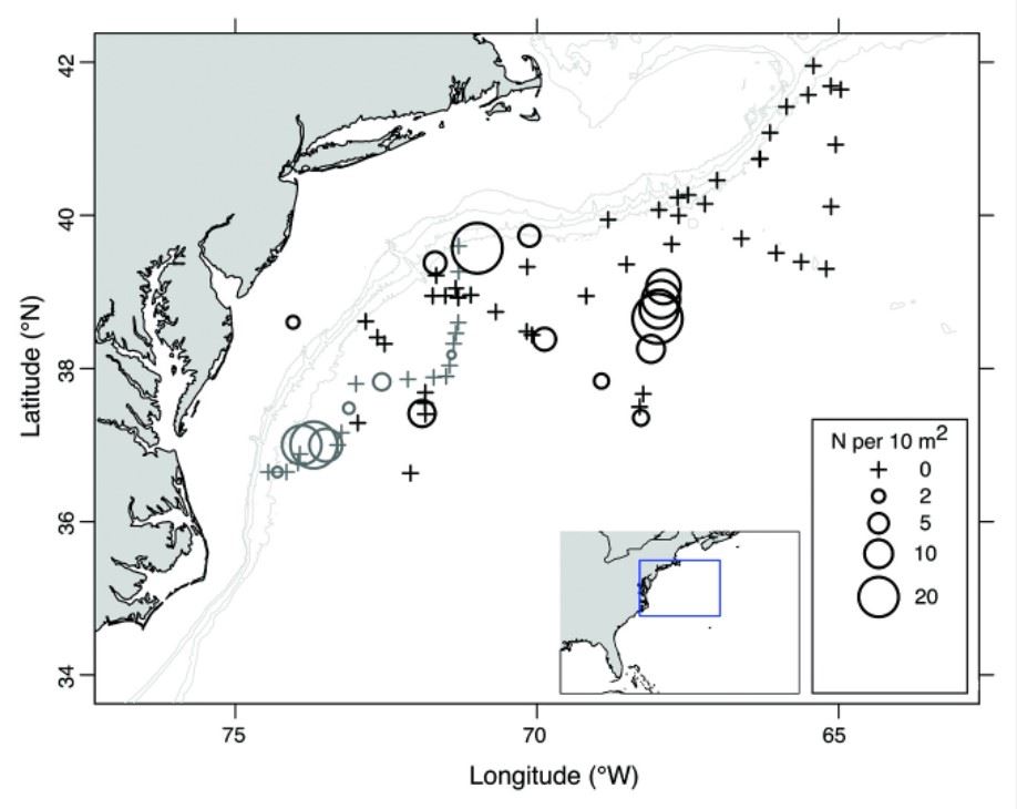 圖1、黑鮪Slope Sea產卵場仔魚豐度分布圖(引用自Hernández et al., 2022)