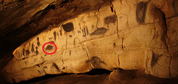 圖1、Levanzo島Genovese洞穴壁畫，圖中紅色圓圈所標識的魚類，學者認定為大西洋黑鮪，這是人類開始在地中海捕獲黑鮪最早的可靠證據來源
