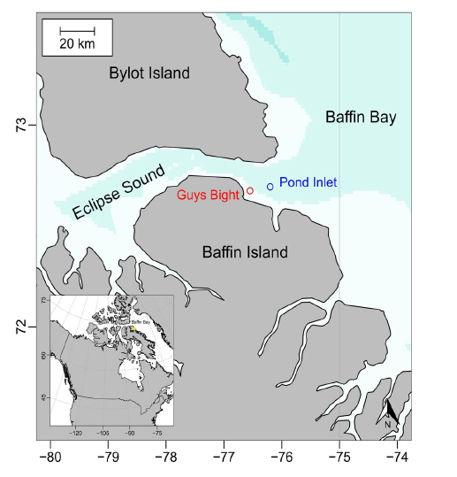 圖1、巴芬灣內Eclipse Sound、Pond Inlet(藍色)及Guys Bight(紅色)相對置(引用自N. Posdaljian et al., 2022)。
