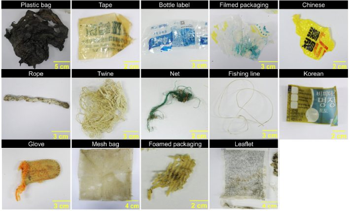 海龜攝入的各種海洋塑膠垃圾碎片(引用自Moon et al., 2022)
