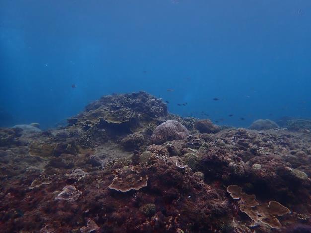 圖3、恆春周邊海域之珊瑚礁