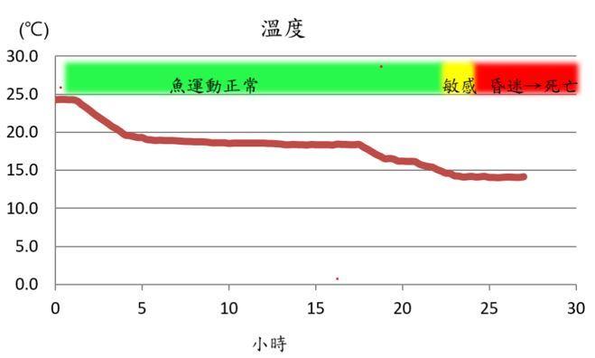 圖2、金目鱸低溫試驗降溫曲線.JPG