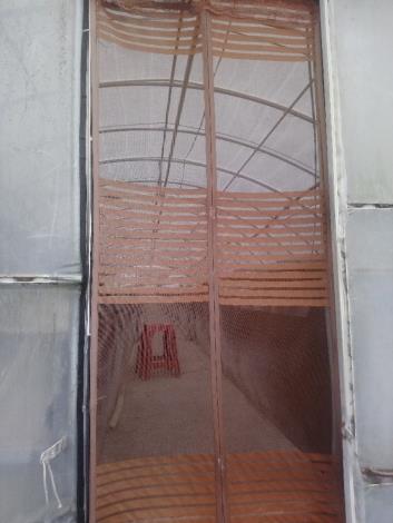 圖3、室內設施養殖場裝設沙網可以有效防範蜻蜓等昆蟲入侵