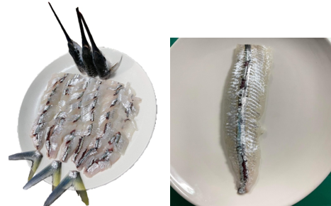 圖2、斑鱵生魚片