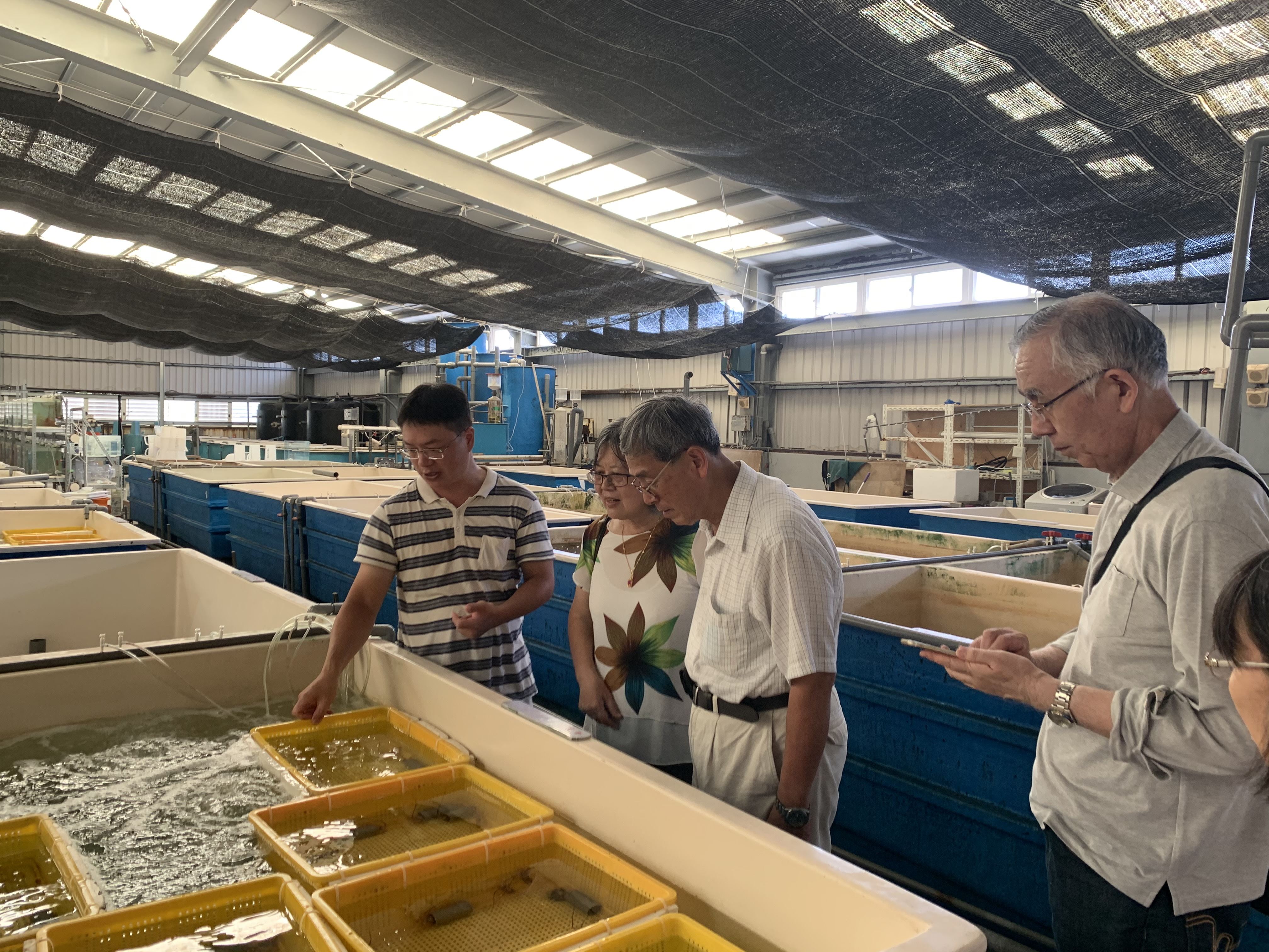 參觀本所海葵魚生產模場