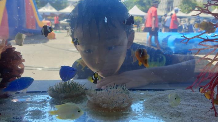 學童駐足觀察中心培育的小丑魚及仙后水母