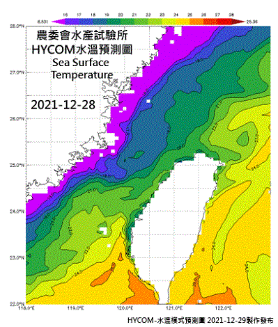 HYCOM-2021烏魚汛期-Z0-SST-水溫模式預測圖-(第七報)(6天前1後4)1228-0102