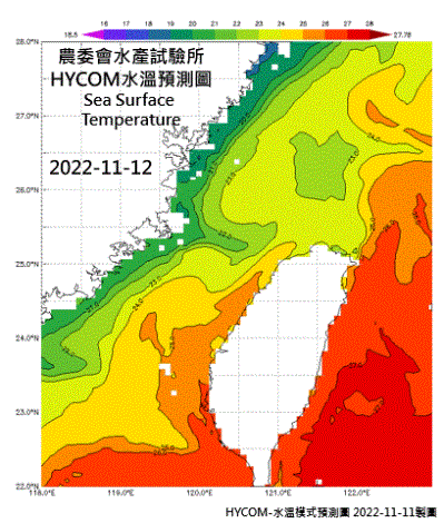 HYCOM-2022烏魚汛期-水溫模式預測圖-20221112-1114