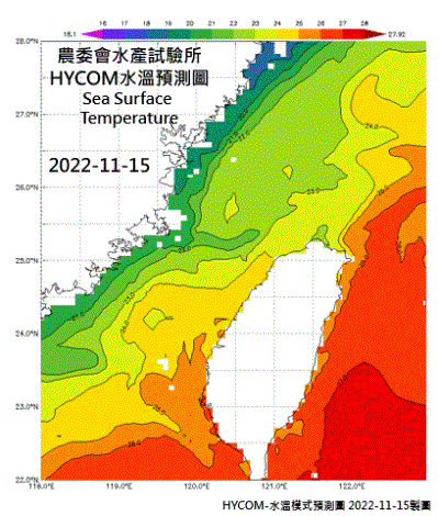 HYCOM-2022烏魚汛期-水溫模式預測圖-20221115-1118