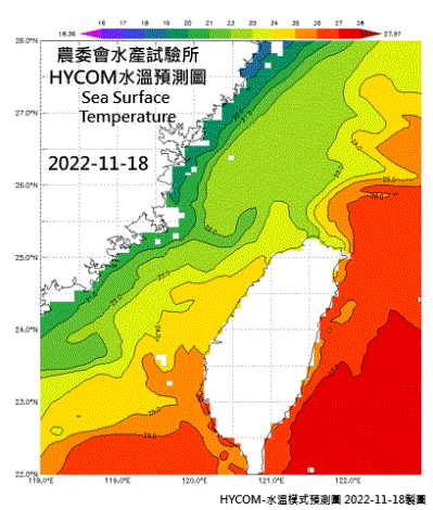 HYCOM-2022烏魚汛期-水溫模式預測圖-202211118-1121
