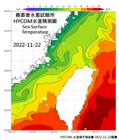 HYCOM-2022烏魚汛期-水溫模式預測圖-202211122-1125