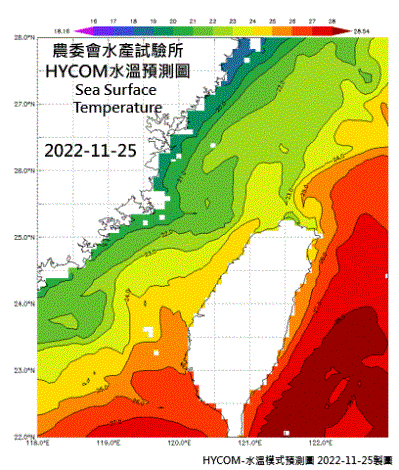 HYCOM-2022烏魚汛期-水溫模式預測圖-202211125-1128