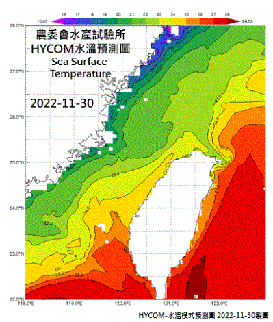 HYCOM-2022烏魚汛期-水溫模式預測圖-202211128-1201
