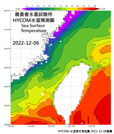HYCOM-2022烏魚汛期-水溫模式預測圖-20221206-1209