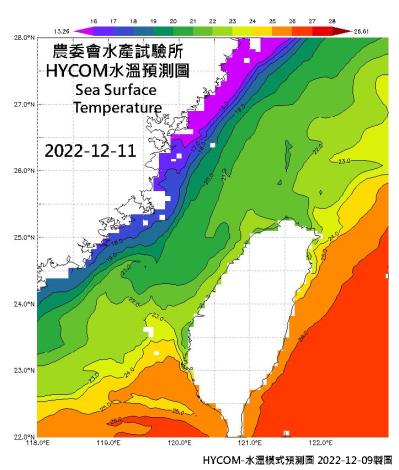 HYCOM-2022烏魚汛期-水溫模式預測圖-20221211