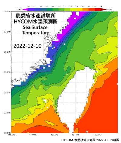 HYCOM-2022烏魚汛期-水溫模式預測圖-20221210