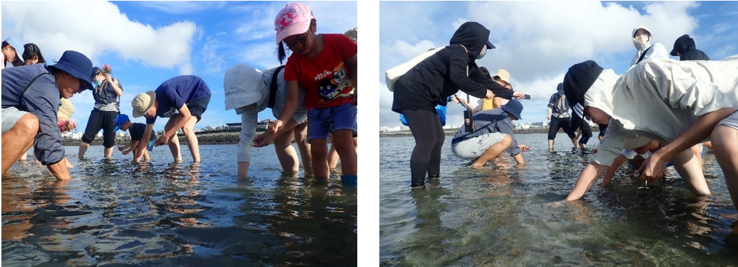 Photo 1. Parent-child seagrass planting