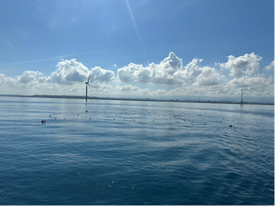 Figure 1. Improved marine artificial surface algae farm facility of the Fisheries Research Institute near Marine Wind Power Sea Weather Observation Tower off Miaoli