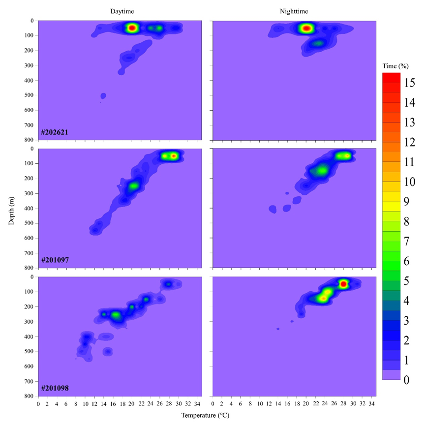 Figure 3. Depth and Temperature of the Daytime and Nighttime Hotspots of Three Tagged Thunnus orientalis (#202621, #201097, and #201098)